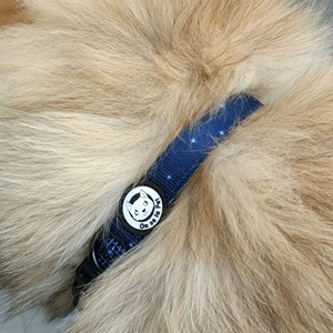 Collier pour chien rembourré et résistant - bleu nuit - taille l
