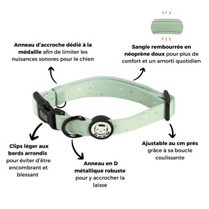 Collier pour chien rembourré et résistant - vert pastel - taille m