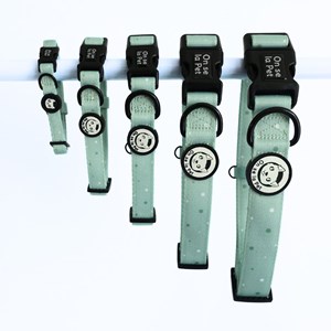 Collier pour chien rembourré et résistant - vert pastel - taille xl