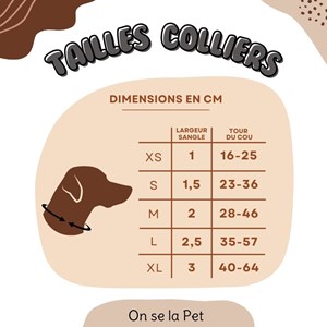 Collier pour chien rembourré et résistant - vert pastel - taille xl