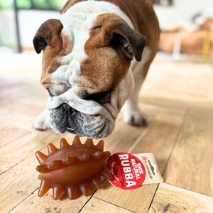 Jouet chien - haltères caoutchouc naturel