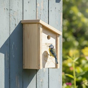 Nichoir en bois pour mésange bleue