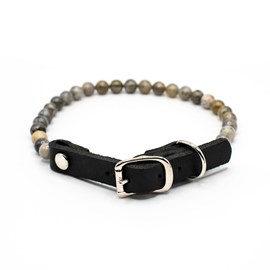 Collier bouclier – pour chien sensible - m