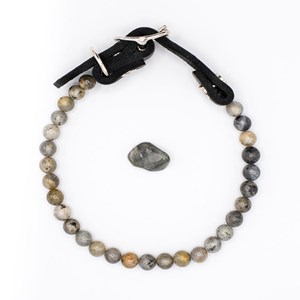 Collier bouclier – pour chien sensible - l