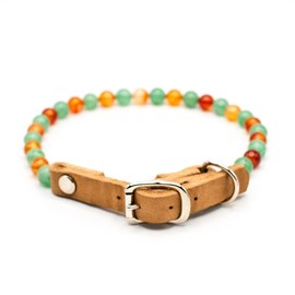 Collier tonic – pour chien fatigué ou senior - l