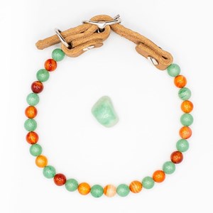 Collier tonic – pour chien fatigué ou senior - l