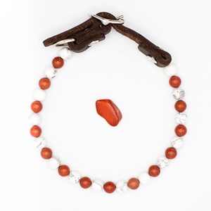 Collier stabilité – pour chien agité - l