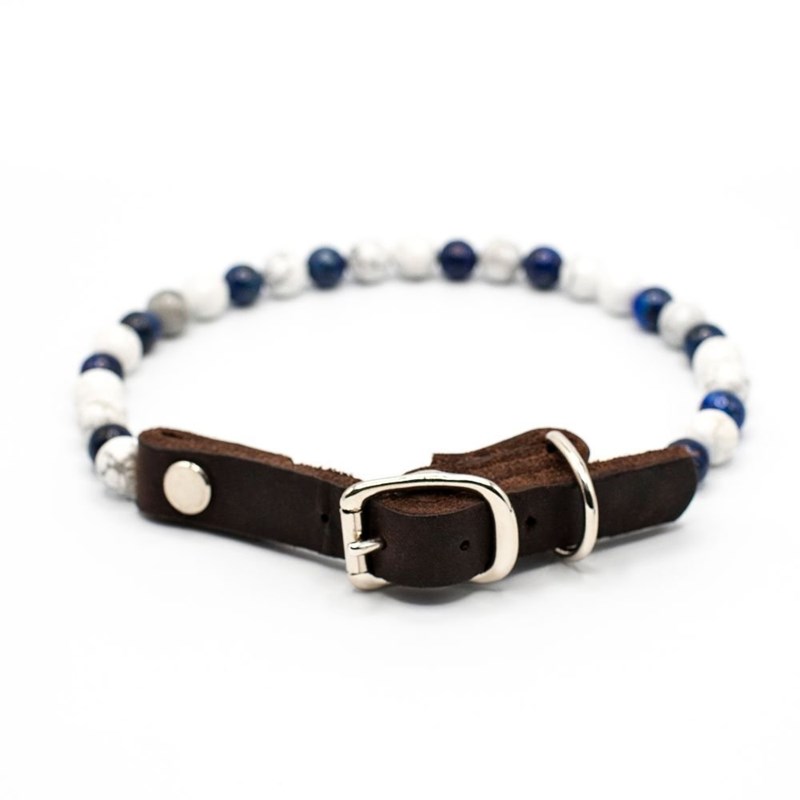 Dandy's Dog - Collier focus – pour chien nerveux - l