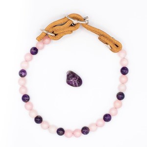 Collier tendresse – pour chiot sensible - s