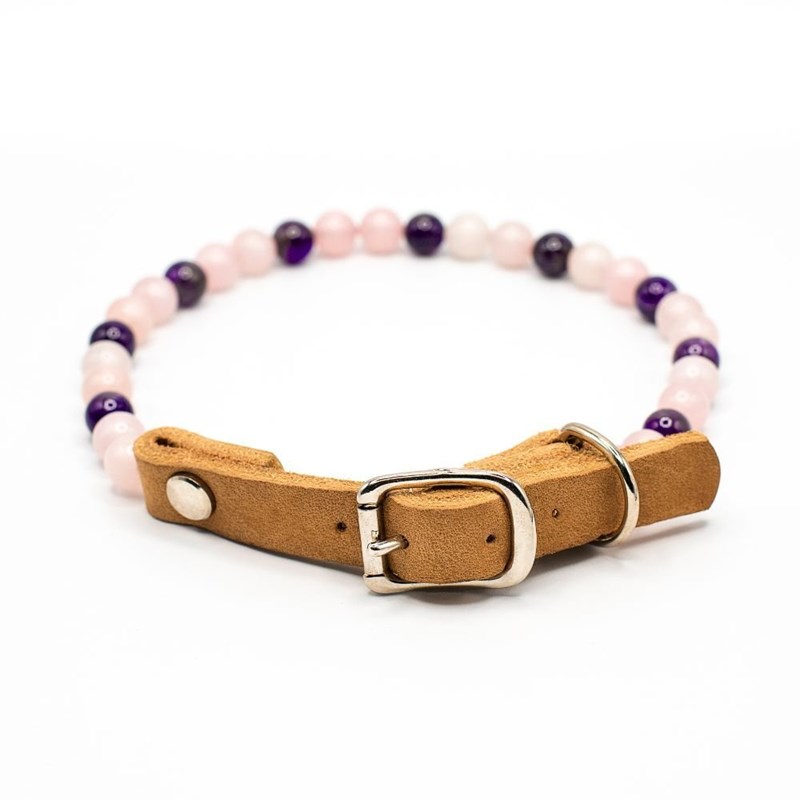 Dandy's Dog - Collier tendresse – pour chiot sensible - m