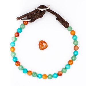 Collier vitalité – pour chien souffrant d’arthrose - m