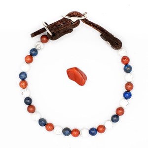 Collier équilibre – pour chien désobéissant - m