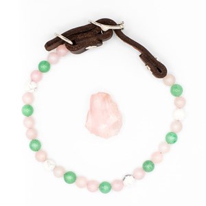 Collier lien – pour chien anxieux de séparation - l