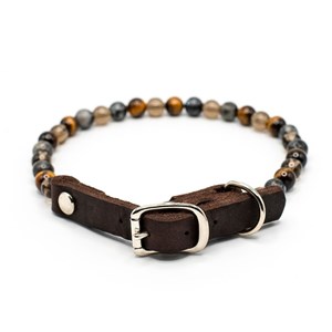 Collier confiance – pour chien peureux ou adopté - m