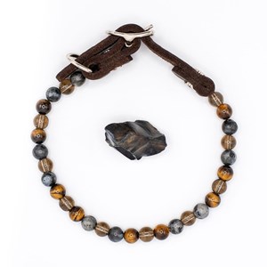 Collier confiance – pour chien peureux ou adopté - l