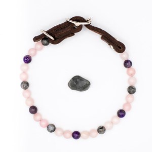 Collier apaisement – pour chien anxieux & stressé - m