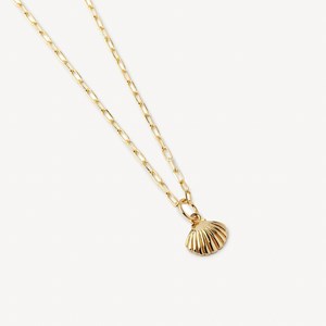 Collier coquillage