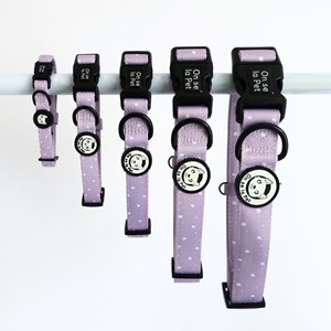 Collier pour chien rembourré et résistant - lilas - taille xs