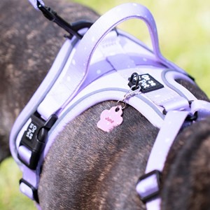 Harnais pour chien confortable et résistant - lilas - taille xl