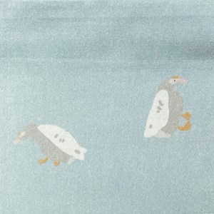 Housse ducks bleue beige 100x140&nbsp;40x40