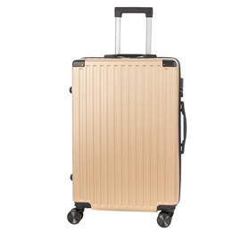 Malle moyenne trolley rigide ultralégère, en abs haute résistance.