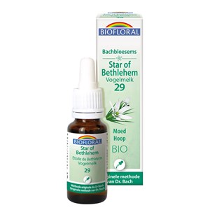 Biofloral - 29 - star of bethlehem - vogelmelk - bio - bio demeter