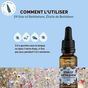 Biofloral - fleur de bach n°29 star of bethlehem, étoile de bethléem - demeter