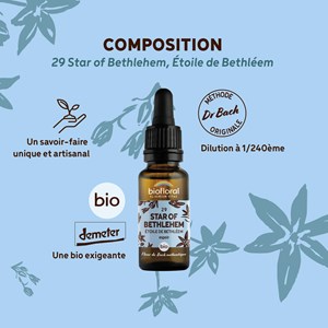 Biofloral - fleur de bach n°29 star of bethlehem, étoile de bethléem - demeter
