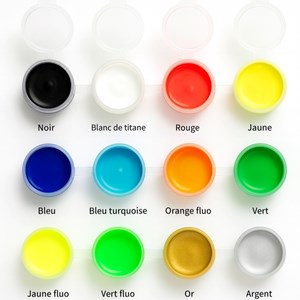 Box peintures acrylique & pinceaux pour pochoirs