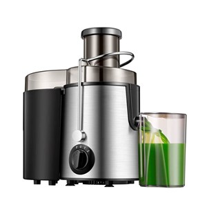 Mixeur extracteur électrique 800w en acier inox,double vitesse.