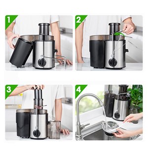 Mixeur extracteur électrique 800w en acier inox,double vitesse.