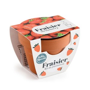 Mini kit 6 cm - fraise