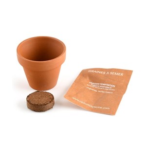 Mini kit 6 cm - fraise