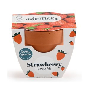 Mini kit 6 cm - fraise
