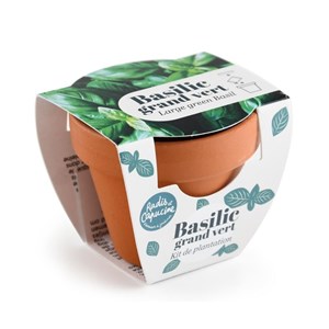 Mini kit 6 cm - basilic