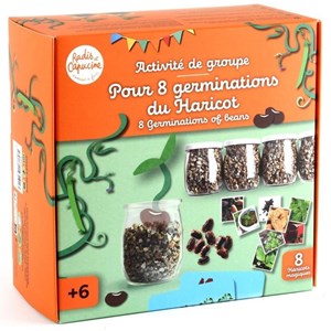 Coffret activité - germination du harico
