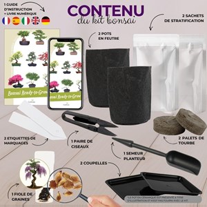 Kit first bonsai purple vine avec accessoires