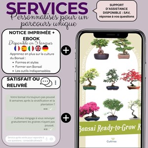 Kit first bonsai purple vine avec accessoires