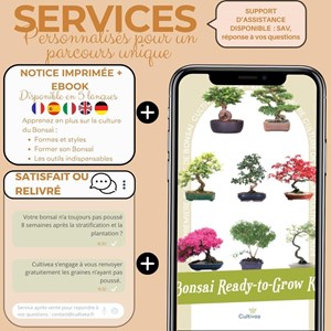 Kit first bonsai cornus kousa  avec accessoires