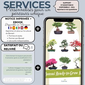 Kit first bonsai winter sweet  avec accessoires