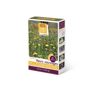 Jachère fleurs sauvages 50 à 100 m2