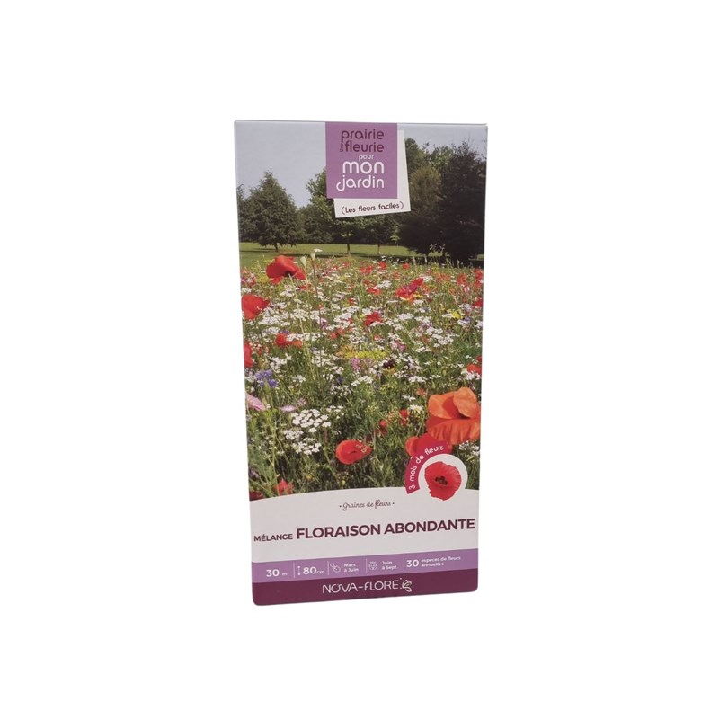 Novaflore - Mélange prairie fleurie : floraison abon
