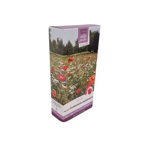 Mélange prairie fleurie : floraison abon