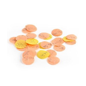 50 confettis avec graines de fleurs