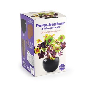 Kit trèfle porte bonheur