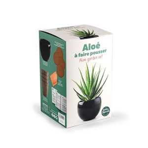 Kit aloe vera