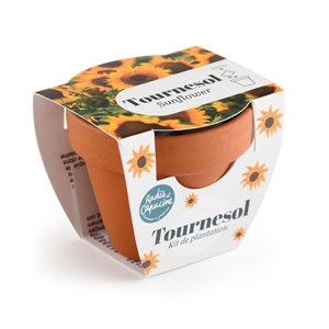Mini kit 6 cm - tournesol