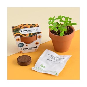 Mini kit 6 cm - tournesol