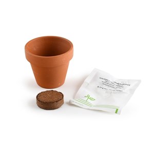Mini kit 6 cm - tournesol