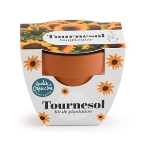 Mini kit 6 cm - tournesol